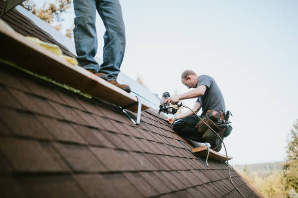 Quick and Trustworthy Emergency Roof Repair Services in Lakewood, OH